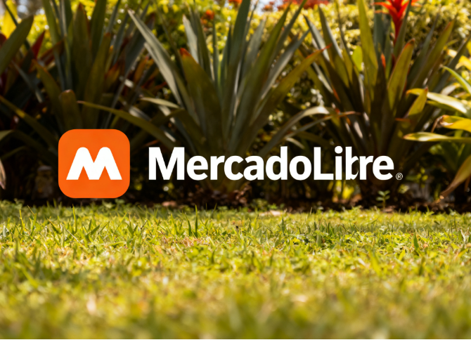 1762310676136004.png image.png